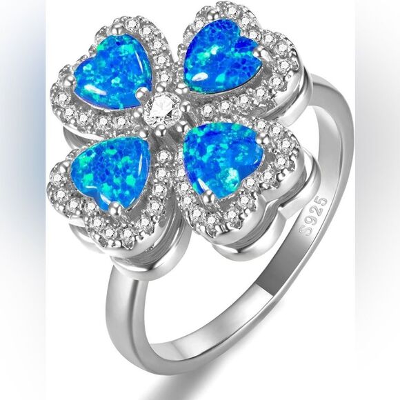 NEW Weinuo Silver and Blue Women's Anxiety Spinner Ring Size 9 - Picture 10 of 10